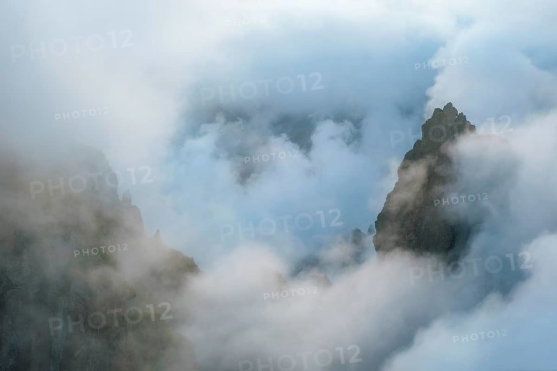 A mountain covered in fog and clouds with blooming Cytisus shrubs. Near Pico de Arieiro, Madeira island, Portugal, Europe