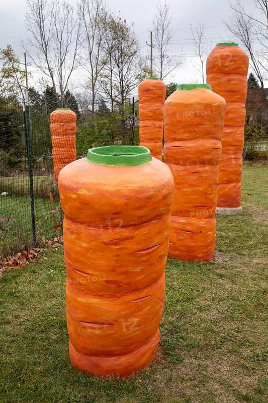 Ann Arbor, Michigan - Large concrete carrots are planted outside the headquarters of Food Gatherers of Washtenaw County., a food bank and food rescue organization.
