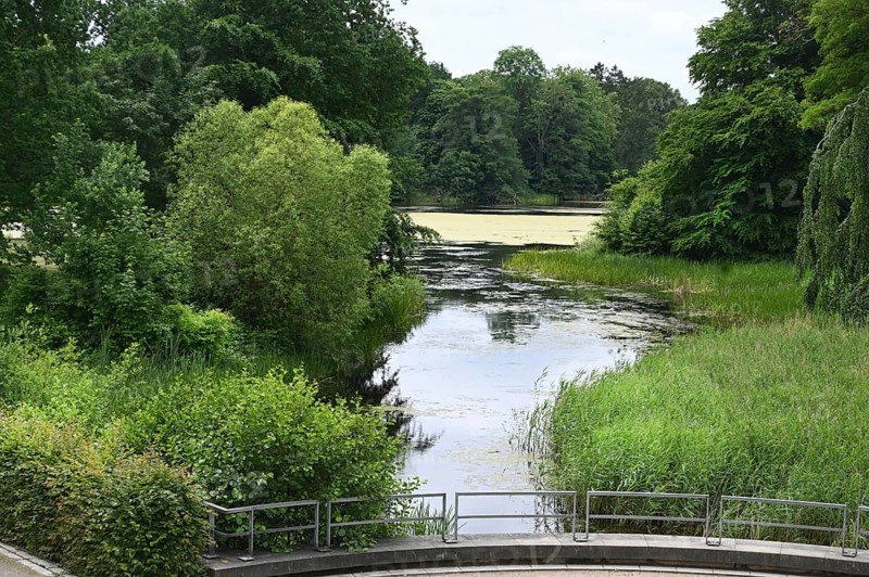 DEU, Germany, Sellin (Rügen) : The Workers' Welfare Organisation (AWO) has designed a trip for senior citizens to Rügen as a special experience for its guests. Putbus: The town park has a large proportion of older and very old trees, Europe