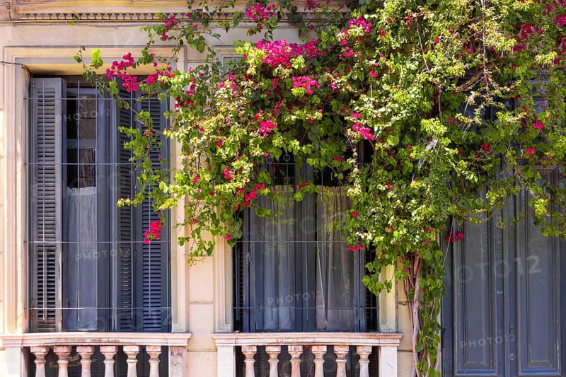 Uruguay, Montevideo streets and architecture in historic city center famous tourist attraction, South America