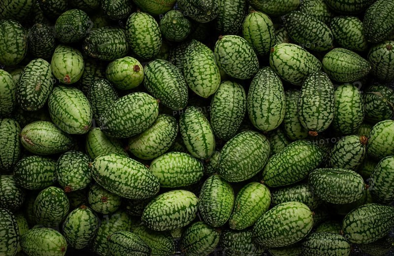 African cucumber, Mexican cucumber, mouse melon, Melothria