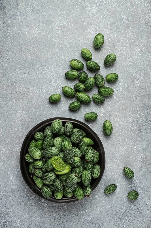 African cucumber, Mexican cucumber, mouse melon, Melothria