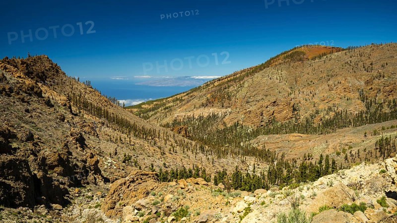 Parque Nacional de las Canadas del Teide, Teide National Park, UNESCO World Heritage Site, Tenerife, Canary Islands, Spain, Europe
