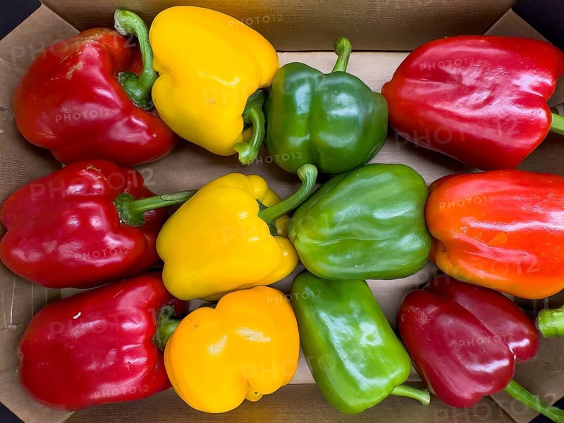 Vegetables red yellow green sweet pepper (Capsicum) Solanaceae in loose pieces Display by retail wholesale greengrocer supermarket environmentally friendly without plastic packaging no plastic packaging, Germany, Europe