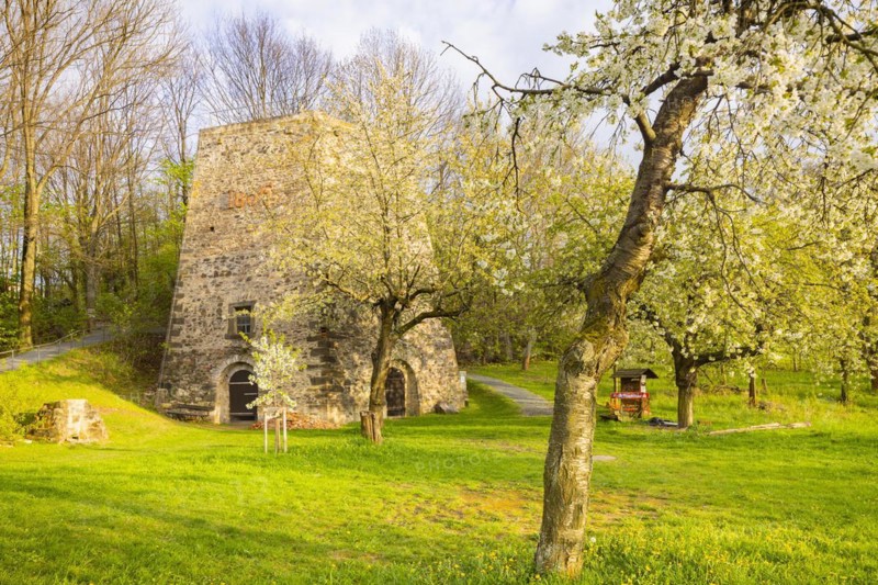 Fruit blossom near Maxen in the Eastern Ore Mountains at the historic lime kiln, Maxen, Saxony, Germany, Europe