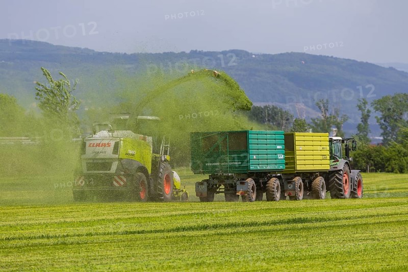A Claas Jaguar 940 forage harvester at Grasmad in a field near Bannewitz, Bannewitz, Saxony, Germany, Europe