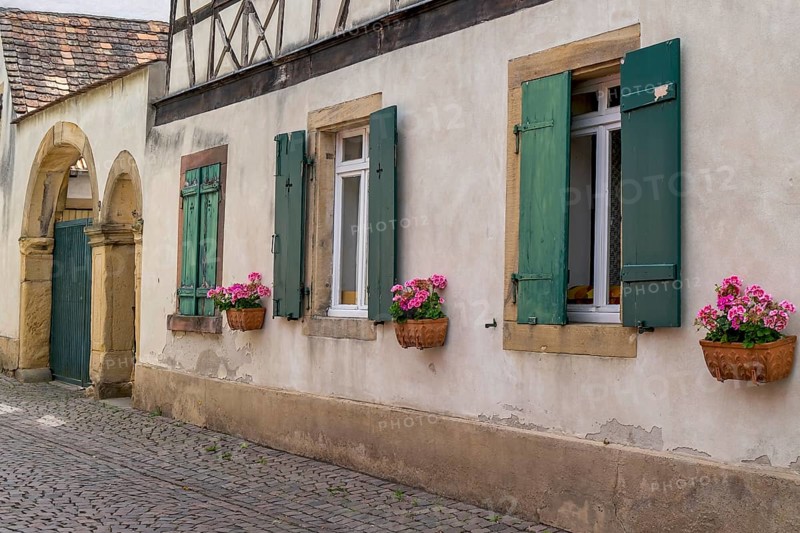 Facade of an old winegrower's house, Deidesheim, Palatinate, Rhineland-Palatinate, Germany, Europe