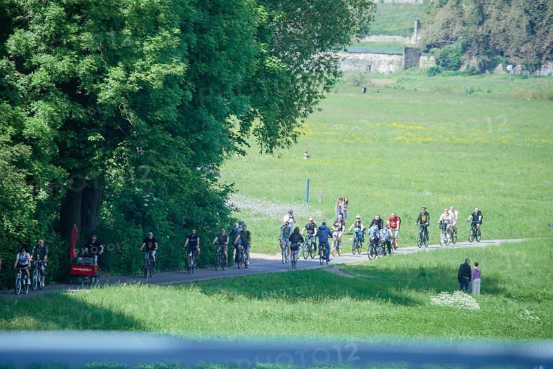 Men's groups out and about on the Dresden Elbe cycle path, Dresden, Saxony, Germany, Europe