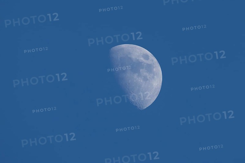 The moon at the waxing gibbous stage in the evening sky, England, United Kingdom, Europe