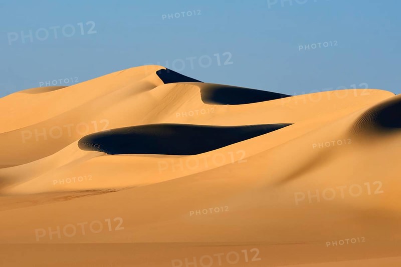 Soft, curved sand dunes cast deep shadows in the golden desert landscape under a clear blue sky, Matruh, Great Sand Sea, Libyan Desert, Sahara, Egypt, North Africa, Africa