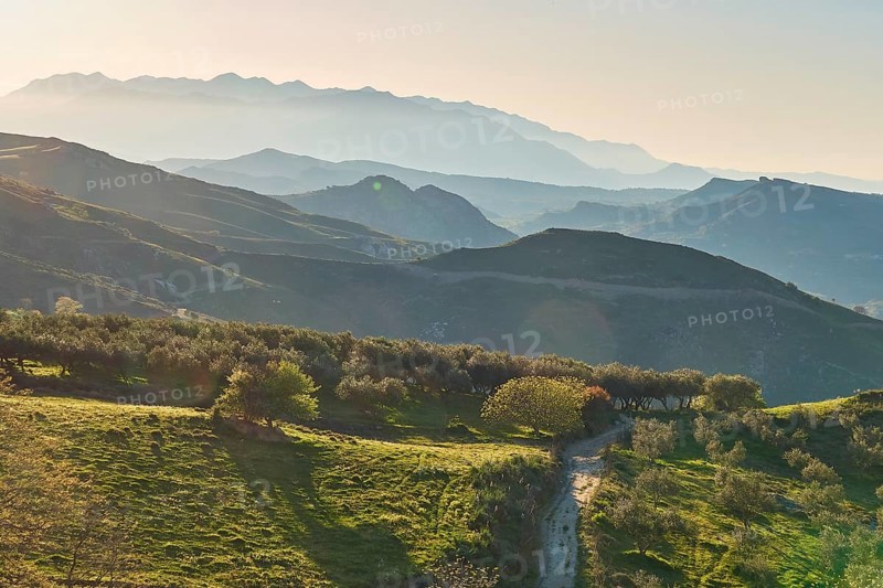 Hilly spring landscape with trees against the light in the late afternoon, mountains in the background, Lefka Ori, White Mountains, mountain massif, west, Crete, Greece, Europe