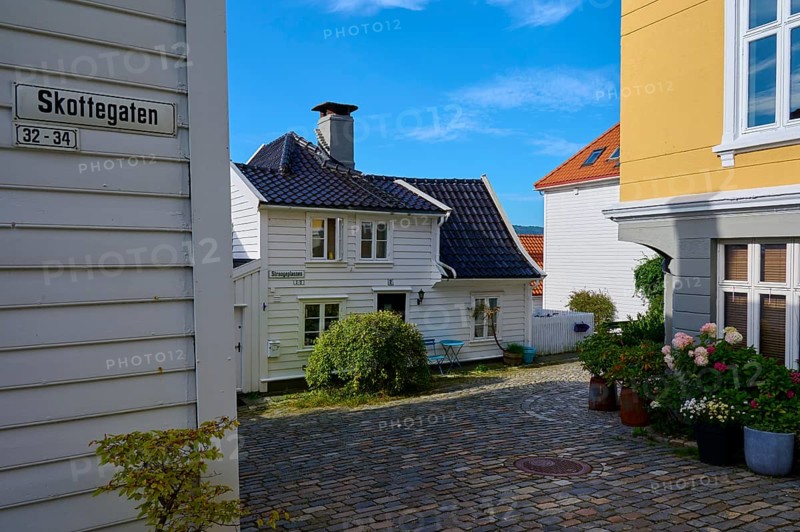 Historic town centre of Bergen, cobblestone streets surrounded by traditional half-timbered houses and plants, peaceful atmosphere under a clear sky, Bergen, Vestland, Norway, Europe