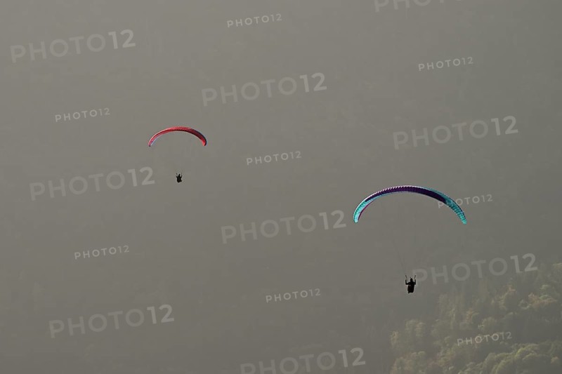 Two paragliders flying over the forest, Alsace, France, Europe