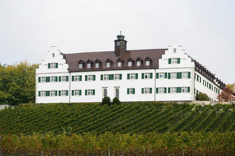 Hersberg Castle with vineyard, Immenstaad, Lake Constance, Baden-Württemberg, Germany, Europe