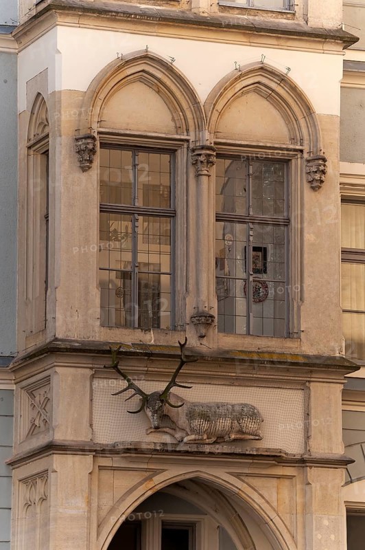 Oriel with stag figure from the historic Gasthaus zum Goldenen Deer, Regensburg, Upper Palatinate, Bavaria, Germany, Europe