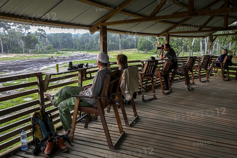 Tourists observe forest elephants (Loxodonta cyclotis) in the Dzanga Bai forest clearing, Dzanga-Ndoki National Park, Unesco World Heritage Site, Dzanga-Sangha Complex of Protected Areas (DSPAC), Sangha-Mbaéré Prefecture, Central African Republic, Africa