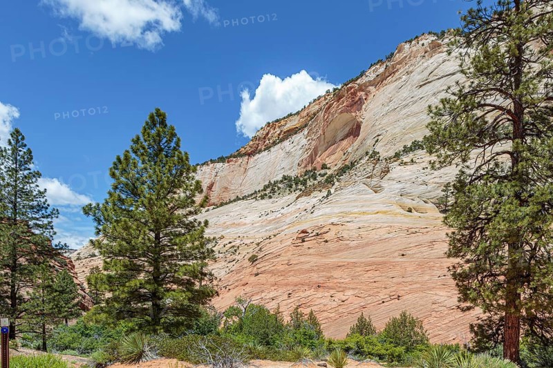 Blind arch on the side of a rock formation in the Checkerboard Mesa area of Zion National Park, Utah