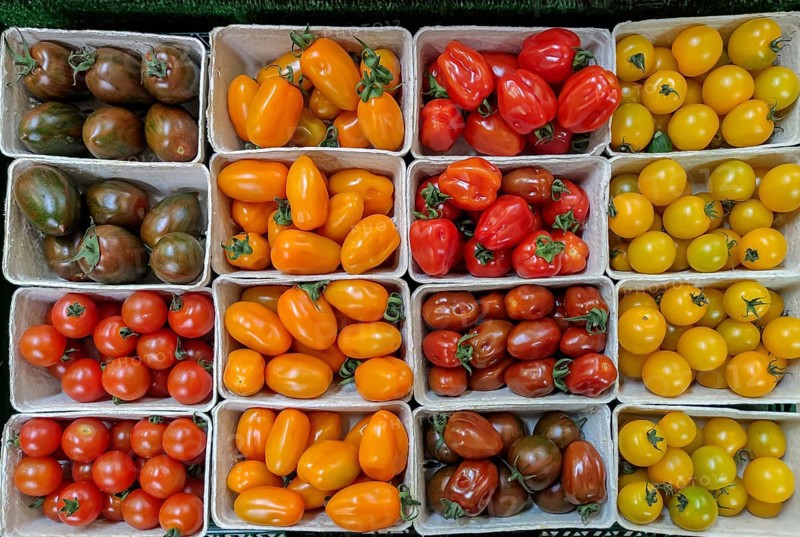Cardboard bowls with different varieties of mini tomatoes, Southern Palatinate, PalatinateRhineland-Palatinate, Germany, Europe