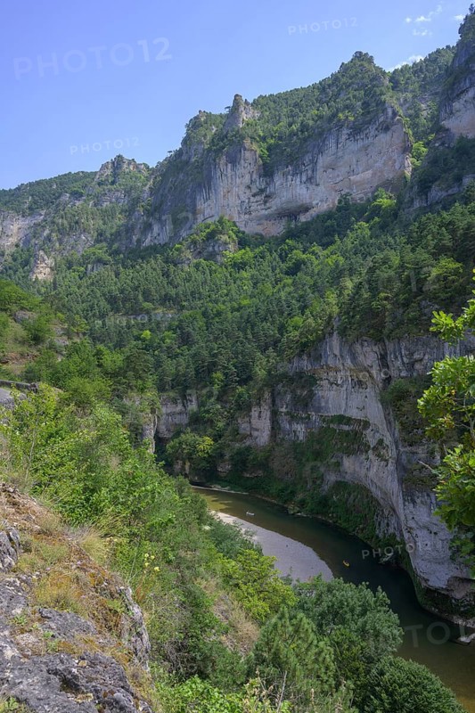 View of the Tarn Gorge, Gorges du Tarn Causses, Département Lozère, France, Europe