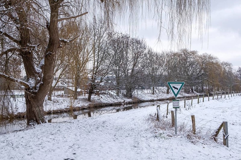 Dinkelwiesen nature reserve in winter with snow, Heek-Nienborg, Münsterland, North Rhine-Westphalia, Germany, Europe