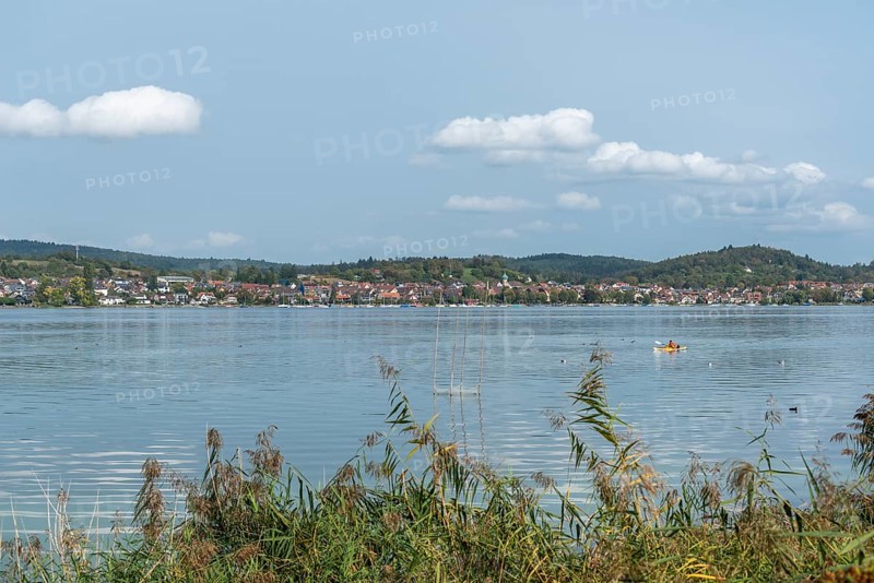 Niederzell, Reichenau Island, Lake Constance, view of Bodanrück peninsula, reed shore, Baden-Württemberg, Germany, Europe