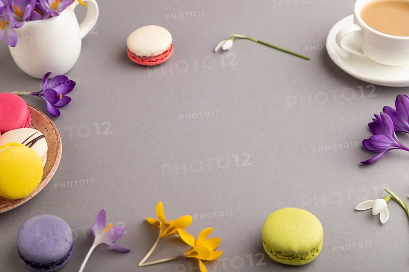 Mockup with spring snowdrop crocus flowers and multicolored macaroons on gray pastel background. Blank, business card, side view, copy space, still life. spring concept