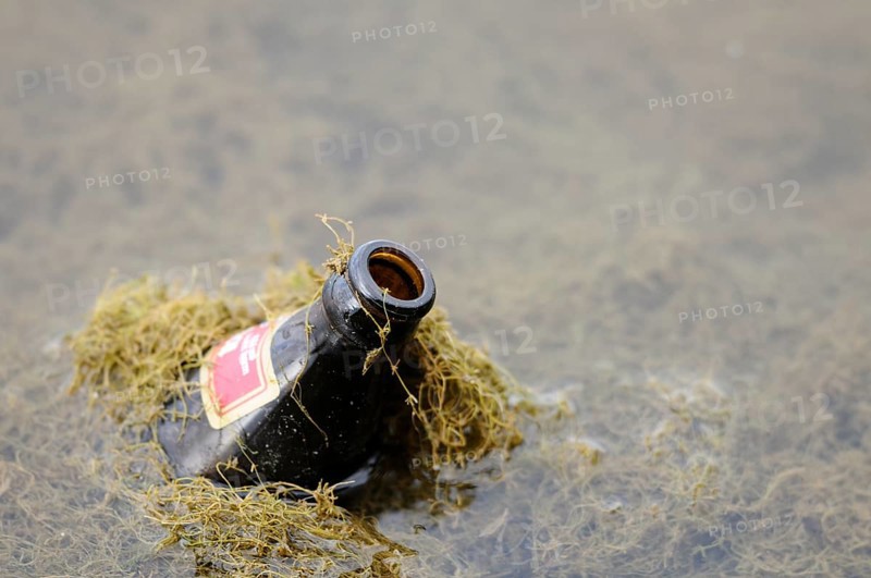 Black bottle with label floats in moss-covered water, environmental pollution, Bavaria