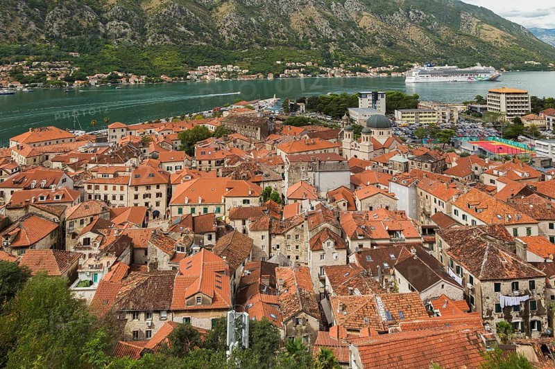 High angle view of apartment buildings and houses covered with traditional terracotta clay roof tiles and Norwegian cruise ship in bay, Old Town of Kotor, Montenegro, Europe