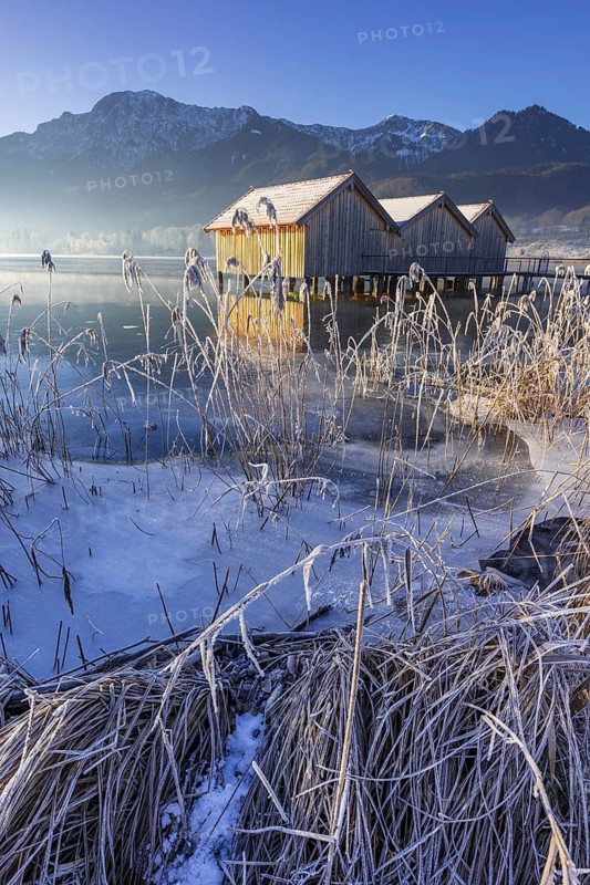 Boat huts, icy shore, lake, morning light, fog, snow, winter, mountains, Lake Kochel, Schlehdorf, behind Herzogstand, Heimgarten, Alpine foothills, Bavaria, Germany, Europe
