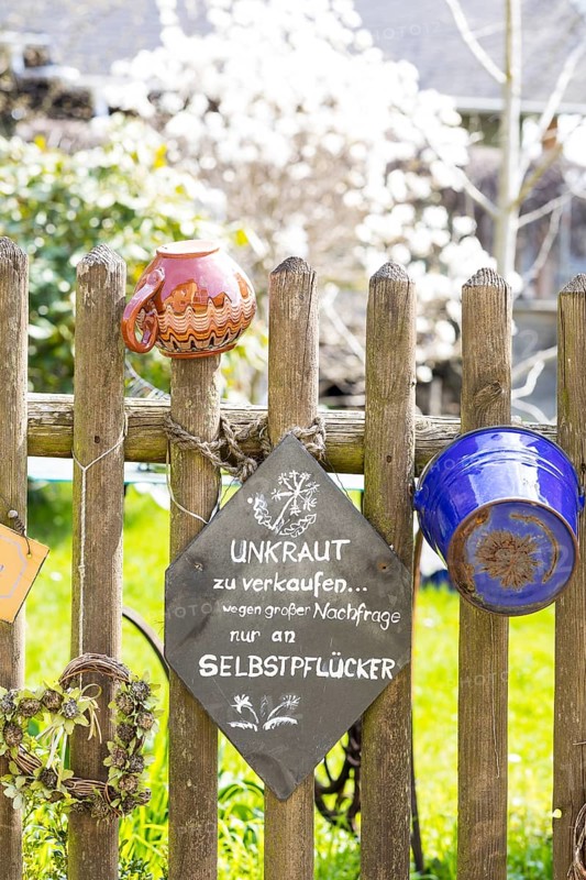 Picket fence decorated with various pots and buckets and mindful verse about the rain, Altendorf, Sebnitz, Saxony, Germany, Europe