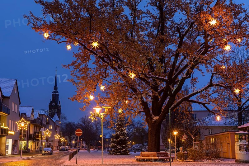Oak tree on the snow-covered Wettinplatz with Herrnhut stars, star tree, in the background the New Church of Peter and Paul, Coswig, Saxony, Germany, Europe