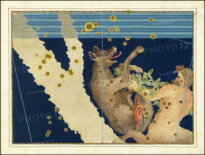 Astronomy. The Celestial Atlas, the Uranometria, Ptolemaic constellations, by Johann Bayer (1572 - 7 March 1625), German astronomer, Lupus and Centaurus, Wolf, a constellation of the southern sky, digitally enhanced reproduction of a historical model