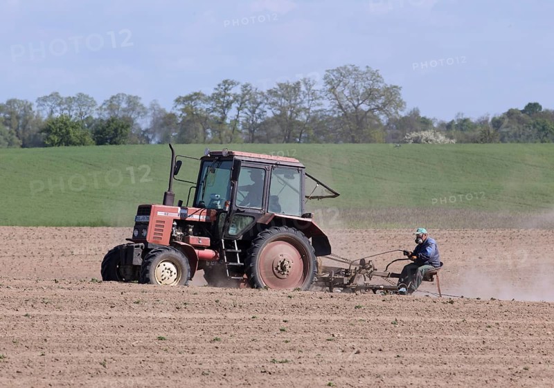 Tractor dragging a plume of dust behind it while working a potato field, Münchenberge, 20/05/2020