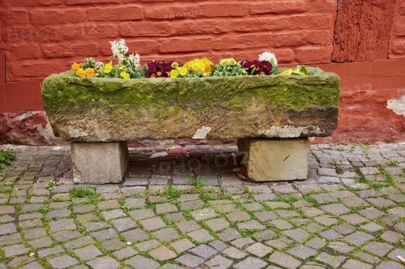 Stone flower box in front of the All Saints' Vicarage in Warendorf, District of Warendorf, North Rhine-Westphalia, Germany, Europe