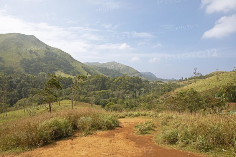 Landscape and red earth in Periyar Wildlife Sanctuary or Periyar National Park, Idukki district, Kerala, India, Asia