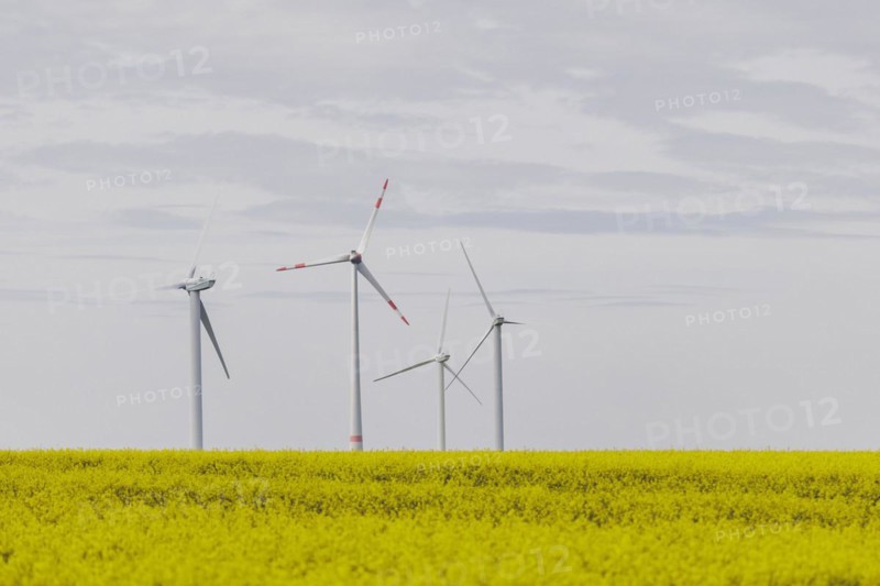 A wind turbine in a rapeseed field, photographed in Vierkirchen, 12/04/2024