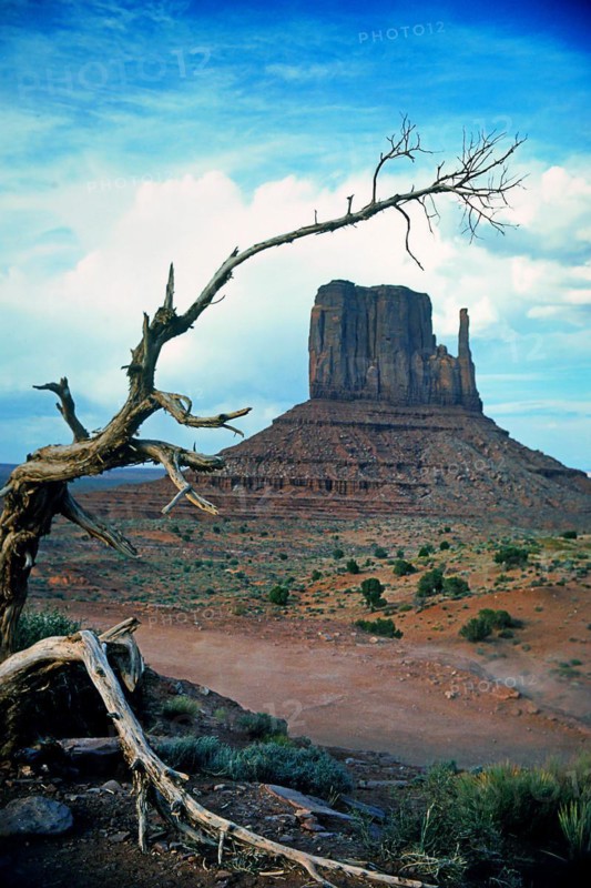 Monument Valley, Navajo Land, Colorado Plateau, under Navajo administration, Utah, USA, North America