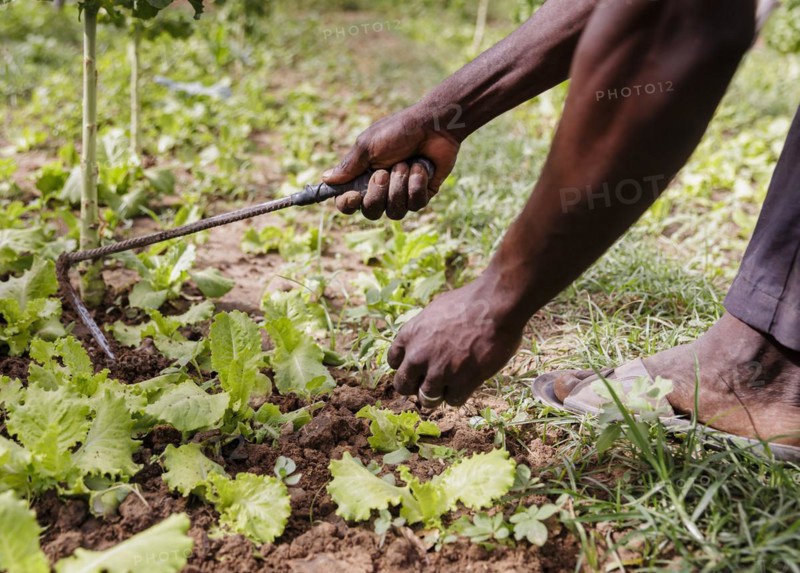 Farmers practising organic farming at the agroecological training centre Centre Beo-Noree in Beo-Noree, 04.03.2024.photographed on behalf of the Federal Ministry for Economic Cooperation and Development