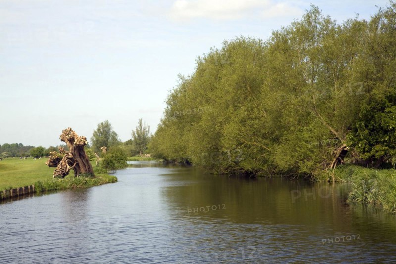 Willow trees line meandering River Stour, Dedham Vale, Essex Suffolk border, England, United Kingdom, Europe