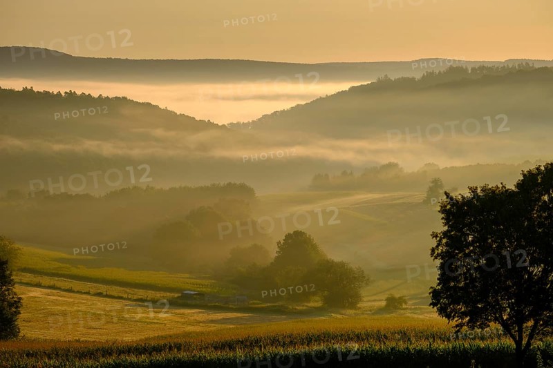 Morning fog over the Werra valley, Weißenborn near Eschwege, Werra-Meißner district, Werra valley, North Hesse, Hesse, Germany, Europe