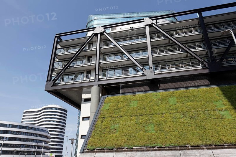 Green façade on the PEC office building, cloud bow, planting to improve the climate, Düsseldorf Media Harbour, Düsseldorf, North Rhine-Westphalia, Germany, Europe