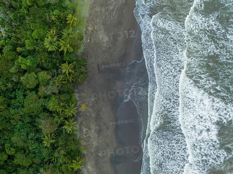 Top-down, aerial view, beach and sea, coast with rainforest, Tortuguero National Park, Costa Rica, Central America
