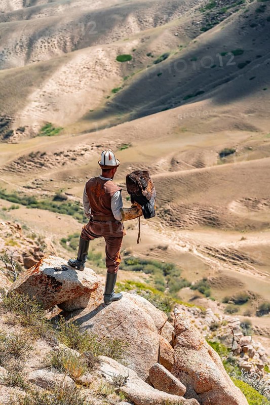 Traditional Kyrgyz eagle hunter hunting in the mountains in a dry landscape, near Kysyl-Suu, Issyk Kul, Kyrgyzstan, Asia