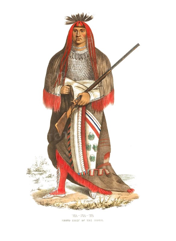 American Indian, Native American, Wa-Na-Ta, Chief of the Sioux Tribe, United States of America, USA, Painting by Charles Bird King (1785, 1862), c. 1840, Historic, digitally restored reproduction from a 19th century original, Record date not stated, North America