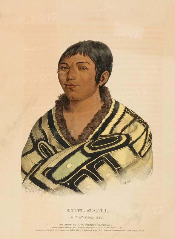 Stum-Ma-Nu, A Flat-Head Boy (1838), Native American, Historical Native American tribes from North America, Charles Bird King (1785, 1862), Historical, digitally restored reproduction from a 19th century original, Record date not stated