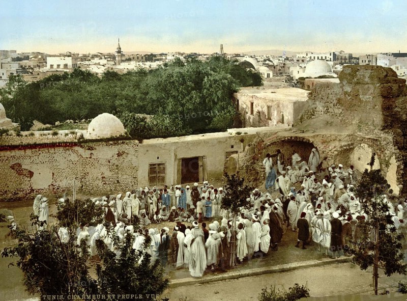 Snake charmer, Tunis, Tunisia, c. 1895, Historic, digitally restored reproduction from a 19th century original, Record date not stated, Africa