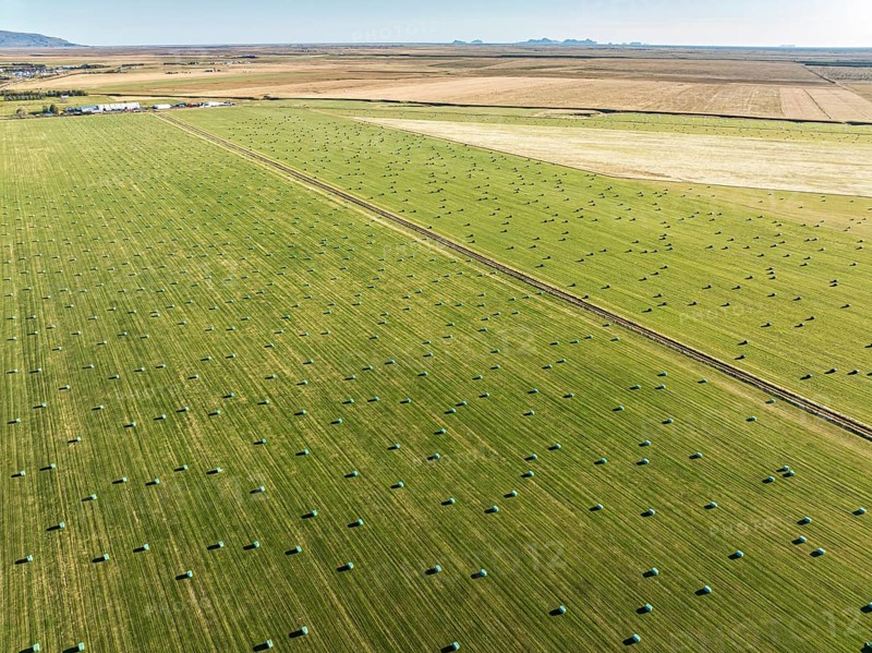 Meadow full of colored hay bales, aerial view, southern coast, Iceland, Europe