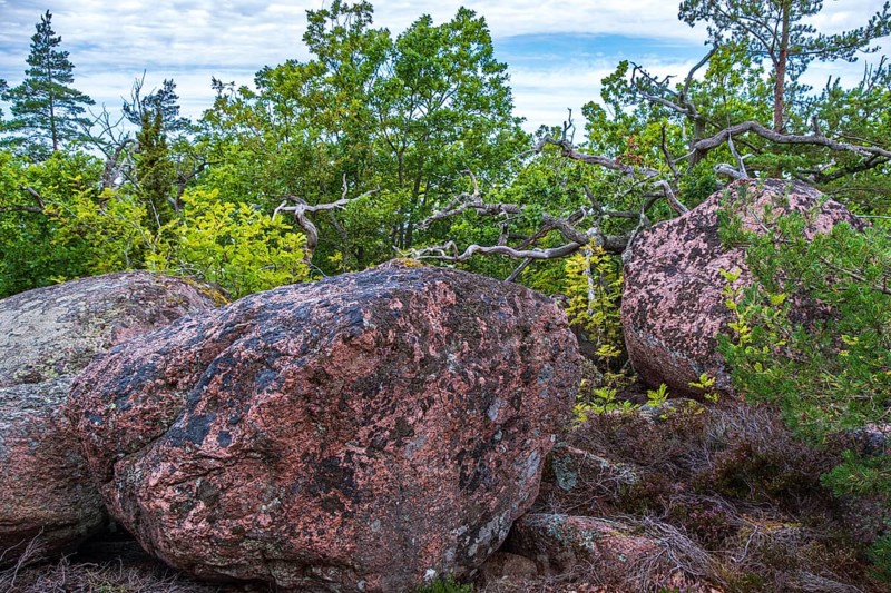 Granite rocks and vegetation on the Blue Maiden (Bla Jungfrun), an island and national park in northern Kalmarsund between Oskarshamn and Öland, Sweden, Europe