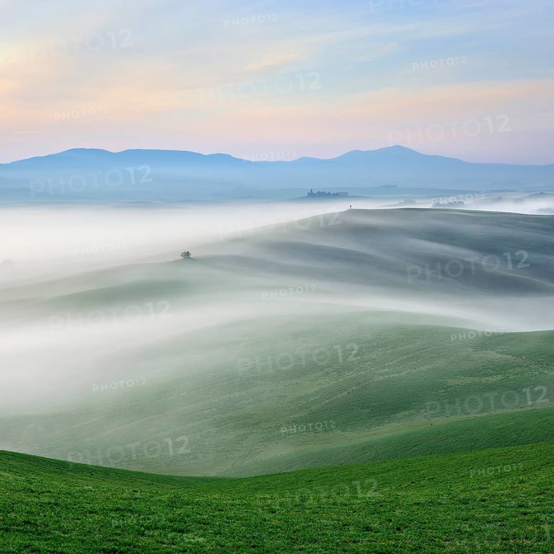 Morning fog in Val d'Orcia, fog flows through hilly landscape, UNESCO World Heritage Site, Province of Siena, San Quirico d'Orcia, Tuscany, Italy, Europe