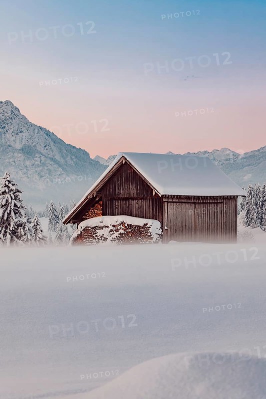 Deep snowy winter morning mood near Halblech in the foothills of the Alps in the Allgäu with the mountains in the background, Bavaria, Germany, Europe
